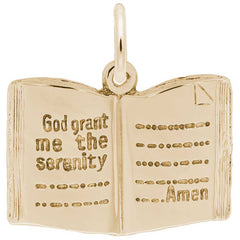 SERENITY PRAYER BIBLE
