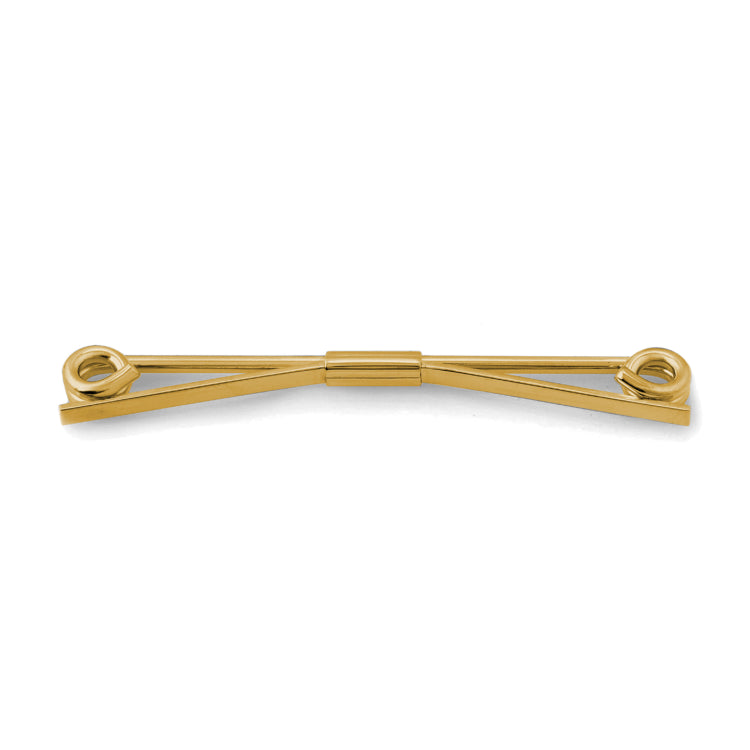 Gold Finish Pig Tail Collar Clip