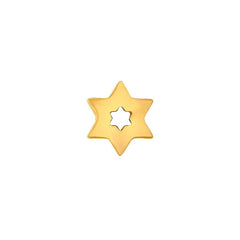 Gold finish sterling silver star of david charm