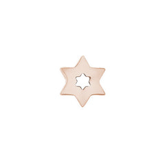 Rose gold finish sterling silver star of david charm
