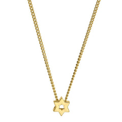 Gold finish finish sterling silver star of david pendant on 18 chain